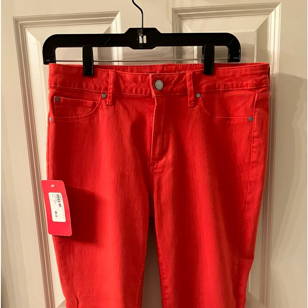 Evereve Articles of Society pants